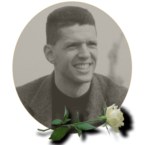 drazenpetrovic